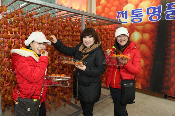 ▲ 곶감따기 체험.ⓒ영동군