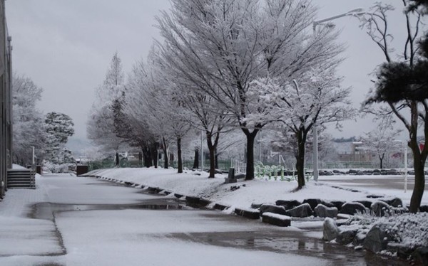 ▲ 충북 음성고등학교 설경.ⓒ음성고