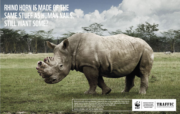 NGO '세계자연기금(WWF)'이 제작한, 코뿔소를 보호하자는 포스터. ⓒWWF 홈페이지 캡쳐.