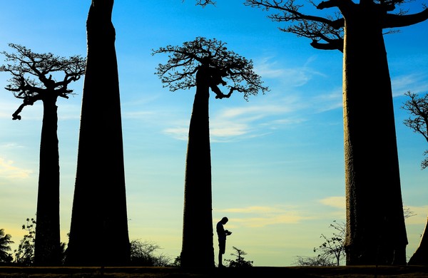 ▲ ‘마다가스카르’(2)ⓒ한국조폐공사