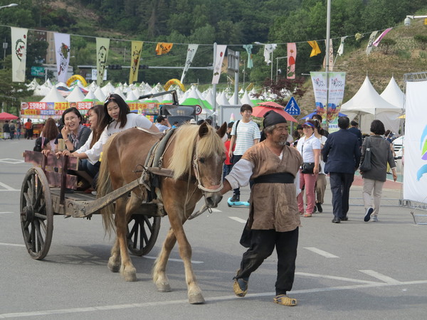 ▲ 올해 지용제 모습1.ⓒ옥천군