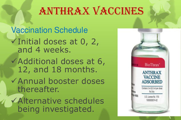 ▲ 美바이오트락스社의 탄저균 백신 접종 주기 설명. ⓒ슬라이드 쉐어 공개화면 캡쳐.