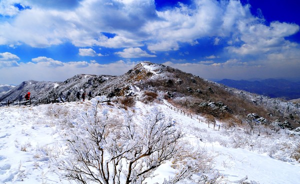 ▲ 단양 소백산 설경.(겨울 산행을 즐기는 등산객 모습)ⓒ단양군