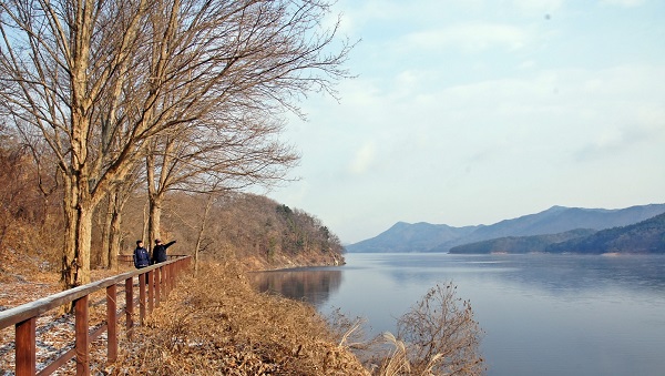 ▲ 대청호 오백리길 1구간 숲길.ⓒ대전시