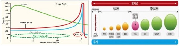 ▲ 방사선 치료 선량Dose 비교 / X-선, 양성자, 중입자.ⓒ대전시