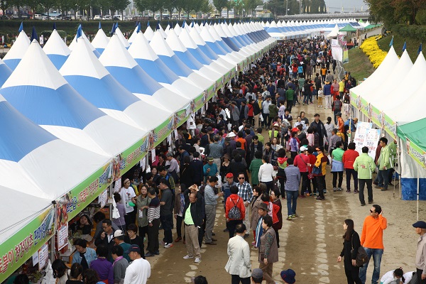 ▲ 지난해 보은대추축제장 모습.ⓒ보은군