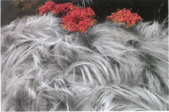 ▲ 모든 출품작에 제목이 없다. 감상의 자유를 위해...채현석 작품 ⓒ채현석