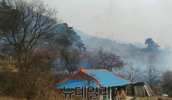 ▲ 농가 바로 뒷산에서 산불이 발생해 농가가 위태로워 보인다.ⓒ뉴데일리