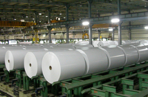 ▲ 국제 펄프 가격 상승으로 국내 제지업계 '빅3' 모두 지난해 실적이 악화됐다. ⓒ뉴데일리DB