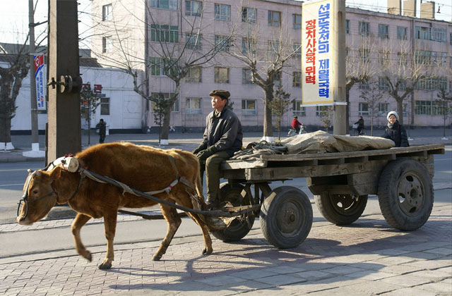▲ 2008년 한 외국인이 북한 관광을 다녀와서 SNS에 올린 북한 소달구지. 그는 