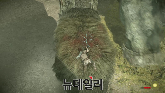 ▲ ⓒ 뉴데일리 송승근 기자