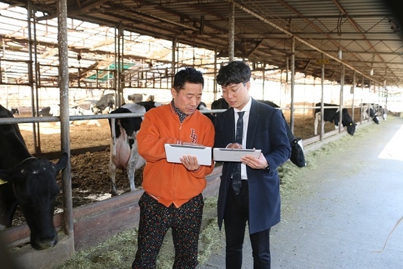 ▲ CJ제일제당 생물자원본부에서 낙농가를 대상으로 젖소의 건강을 관리하는 ICT 기기 '카우톡' 활용법을 설명하고 있다ⓒCJ제일제당