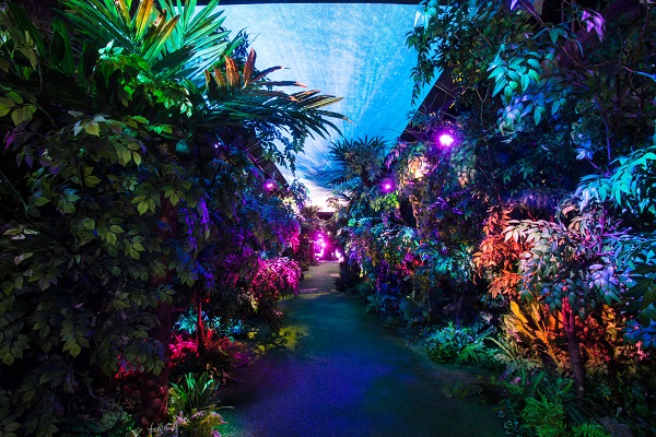 ▲ 새 단장한 수양개 빛 터널.ⓒ단양군