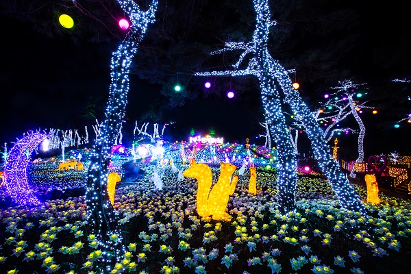 ▲ 비밀의 정원.ⓒ단양군