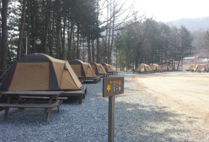 ▲ 강원도 횡성에 위치한 별빛마을 캠핑장 전경.ⓒ서울시 제공