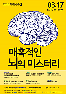 ▲ 한국뇌연구원이 ‘2018 세계 뇌 주간-대구·경북’ 행사를 개최한다.ⓒ한국뇌연구원