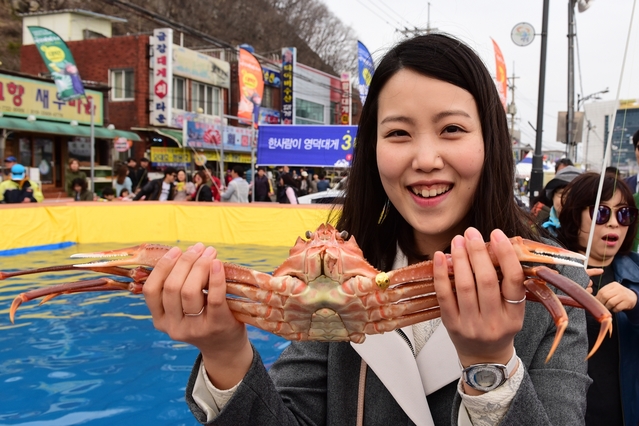 ▲ 제21회 영덕대게축제가 오는 22일부터 25일까지 영덕군 강구항 해파랑공원에서 열린다.사진은 지난해 대게축제 대게낚go! 황금반지 낚go 장면.ⓒ영덕군