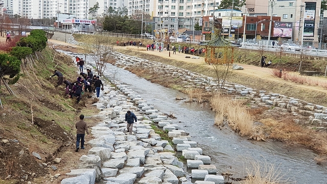 ▲ 고산1동 마을공동체가 지난 20일 욱수천변 나무심기 행사를 가졌다.ⓒ수성구청