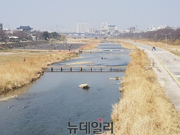 ▲ 봄 기운이 완연한 충북 청주무심천 모습.ⓒ김정원 기자