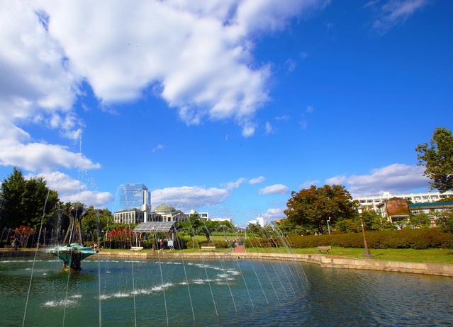 ▲ 경북대학교 총동창회가 29일 정기이사회 및 정기총회를 개최한다.ⓒ경북대학교