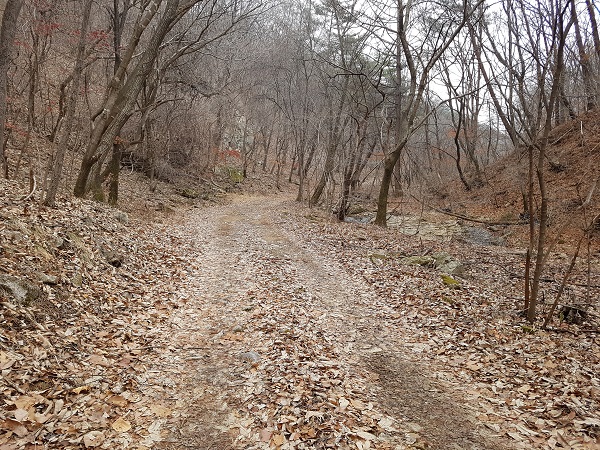 ▲ 질마재 옛길.ⓒ보은군