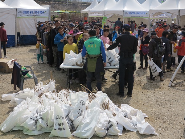 ▲ 30일 옥천묘목축제 첫날 오후 2시 묘목 무료로 나눠주기 행사가 진행되고 있다.ⓒ옥천군