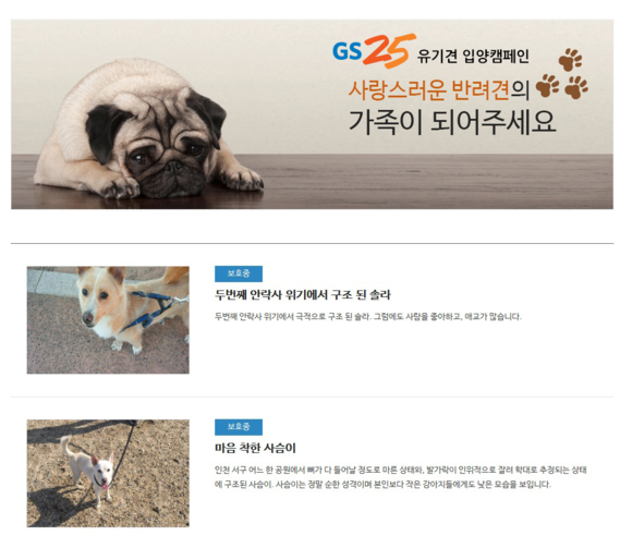 ▲ GS25 유기견 입양 캠페인. ⓒGS25