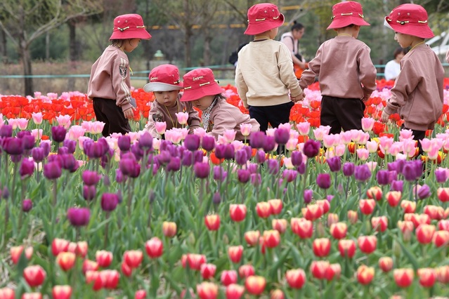 ▲ 문암생태공원 튤립정원 모습.ⓒ청주시