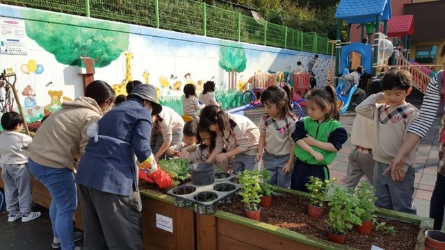 ▲ 달성군(군수 김문오)이 17~20일 자연친화적인 도시환경 조성과 도시농업 저변확대를 위한 ‘상자텃밭 조성사업’을 추진한다.ⓒ달성군