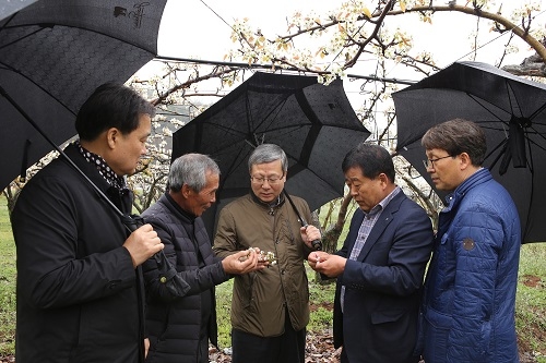 ▲ 오병관 대표이사(가운데)가 농업인 한상인씨(사진 왼쪽 두 번째), 농협 관계자 등과 함께 과수원을 돌아보며 피해현황에 대한 이야기를 나누고 있다.ⓒNH농협손해보험.