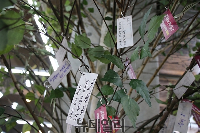 ▲ 21일 개소식에서 '교육의 숲'을 슬로건으로 지지자들의 희망 카드가 마련됐다.ⓒ뉴데일리