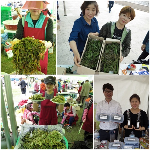▲ 지난해 옥천참옻축제 행사장.ⓒ옥천군