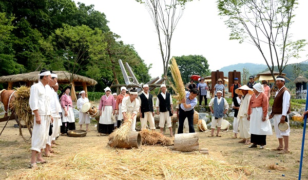 ▲ 2017증평들노래축제 보리타작.ⓒ증평군