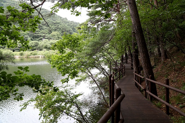 ▲ 속리산 세조길.ⓒ보은군