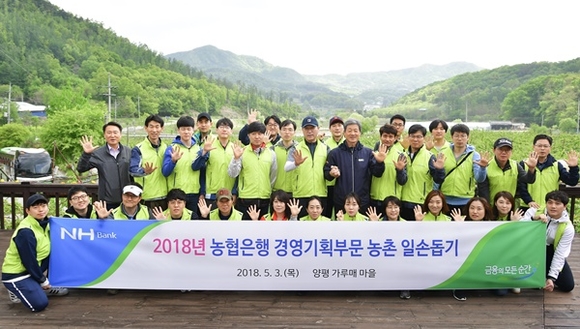 ▲ 농협은행 경영기획부문 최창수 수석부행장(둘째줄 왼쪽 여섯번째)이 지난 3일 직원들과 경기도 양평군 지평면 가루매마을을 찾아 일손돕기 실시에 앞서 기념사진을 촬영하고 있다. ⓒNH농협은행