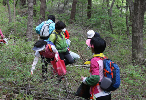 ▲ 포항시 죽장면 두마마을에서 산나물 잔치가 오는 12일 두마산촌생태마을 운동장에서 열린다.ⓒ포항시