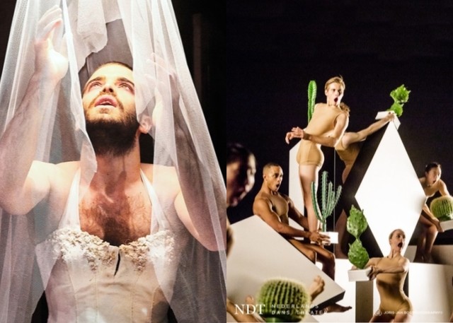 ▲ (왼쪽)영국 피지컬댄스시어터 게코(Gecko)의 '더 웨딩(The Wedding), NDT 알렉산더 에크만 안무가의 '선인장(Cacti)'.ⓒRichard Haughton,Rich Rusk/jan bos_1