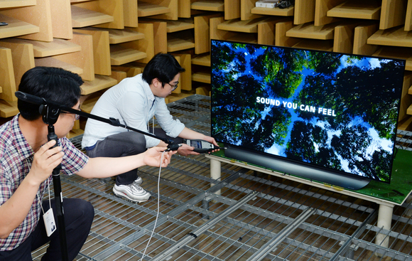 ▲ LG전자 HE연구소 무향실 ⓒLG전자