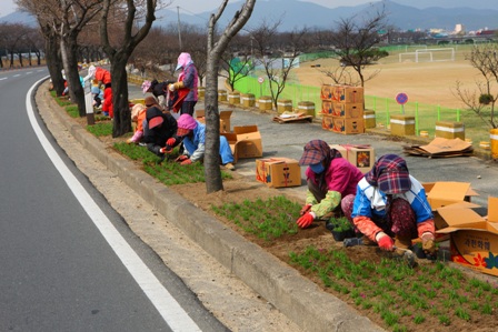 ▲ 경주시의 공공 근로자들이 화단 가꾸기를 하고 있다.ⓒ경주시