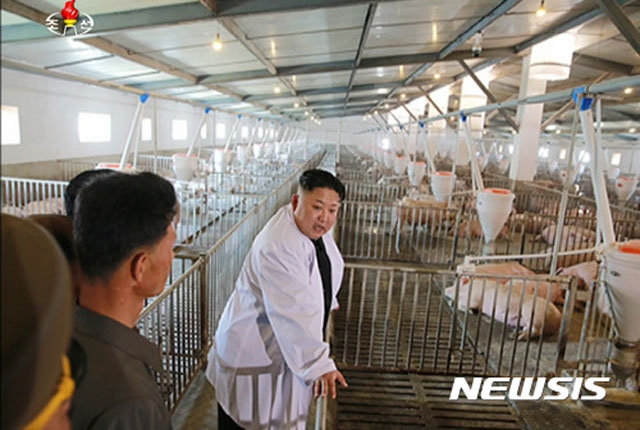 ▲ 친척집에 간 김정은? 2017년 4월 돼지공장을 찾아간 김정은의 모습. ⓒ뉴시스. 무단전재 및 재배포 금지.