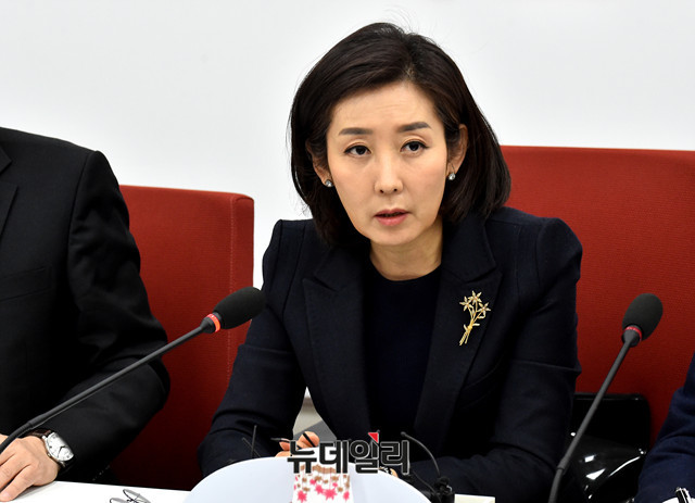 ▲ 자유한국당 나경원 의원. ⓒ뉴데일리 DB