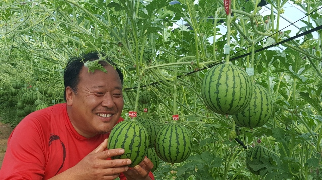 ▲ 포항시 연일읍의 이승대 농부가 시범재배에 성공한 깎아 먹는 애플수박을 바라보며 즐거워하고 있다.ⓒ포항시