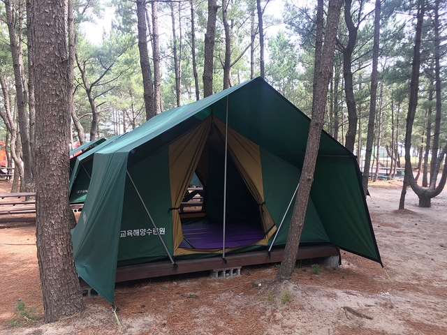 ▲ 대구교육해양수련원(원장 임재용)이 대구교육가족들에게 야영장을 개방, 가족 단위 야영 체험 기회를 제공한다. ⓒ대구시교육청