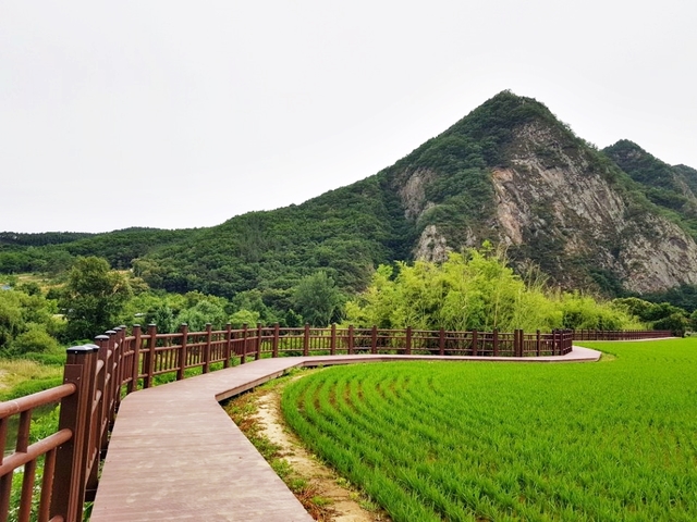 ▲ 월류봉 둘레길1.ⓒ영동군