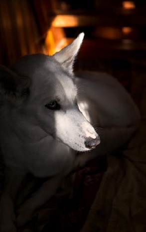 ▲ 신소윤, 슬픈 예감