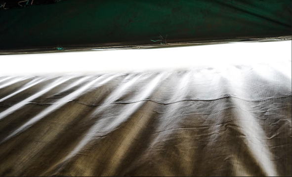 ▲ 이민숙, 빛-그 아름다움