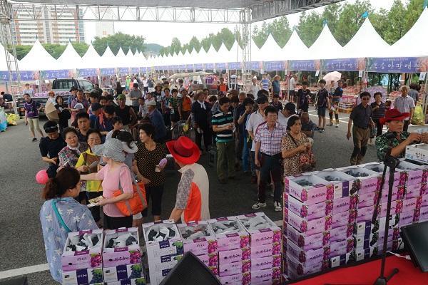 ▲ 포도의 고장 옥천군에서는 오는 20~22일까지 ‘제12회 향수옥천 포도·복숭아 축제’를 연다.(사진은 지난해 축제 모습)ⓒ옥천군