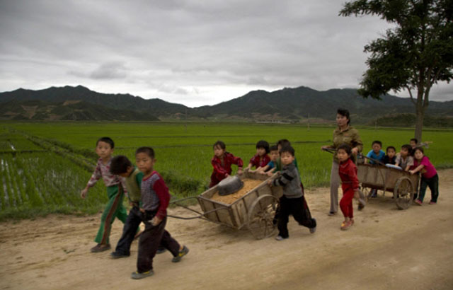 ▲ 북한 어린이들이 노력동원에 동원된 모습. 2014년 6월 촬영된 사진이다. ⓒ뉴시스-AP. 무단전재 및 재배포 금지.
