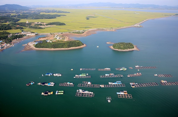 ▲ 천수만 가두리 양식장.ⓒ태안군