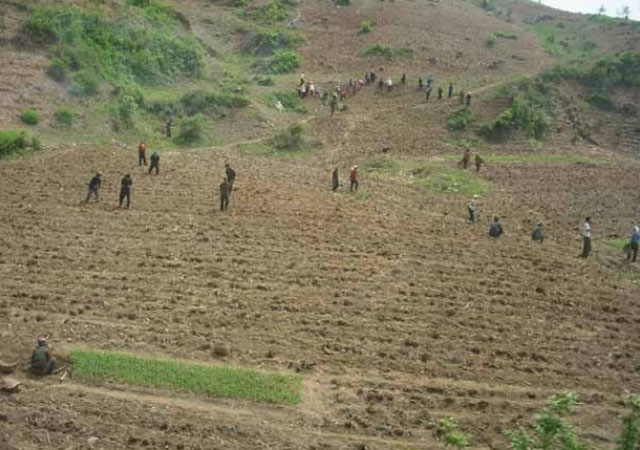 ▲ 뙈기밭에서 농사짓는 북한 주민들. 사실상 이들의 생명줄이다. ⓒ김성일 서울대 교수 제공-뉴데일리 DB.